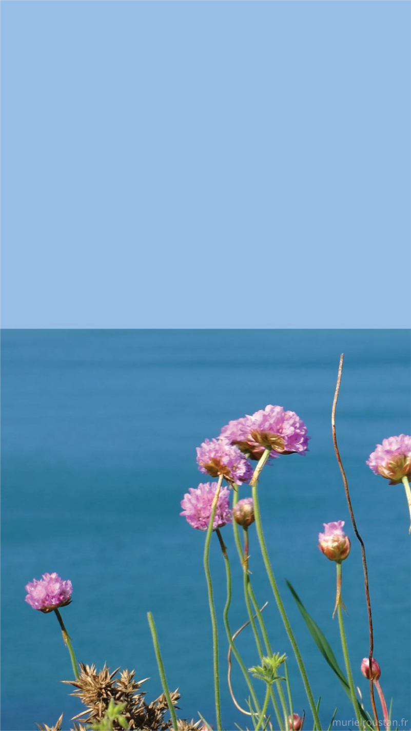 Vue de la mer avec des fleurs devant.