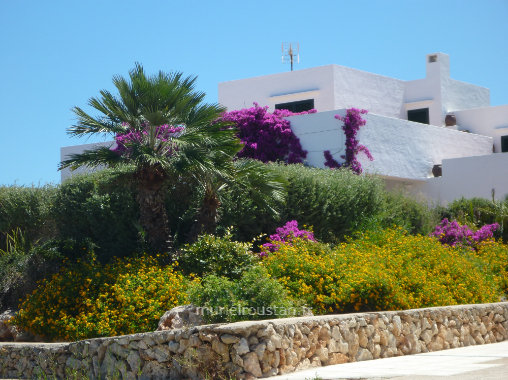 Villa blanche des pays Hispaniques en arrière-plan derrière des plantes.